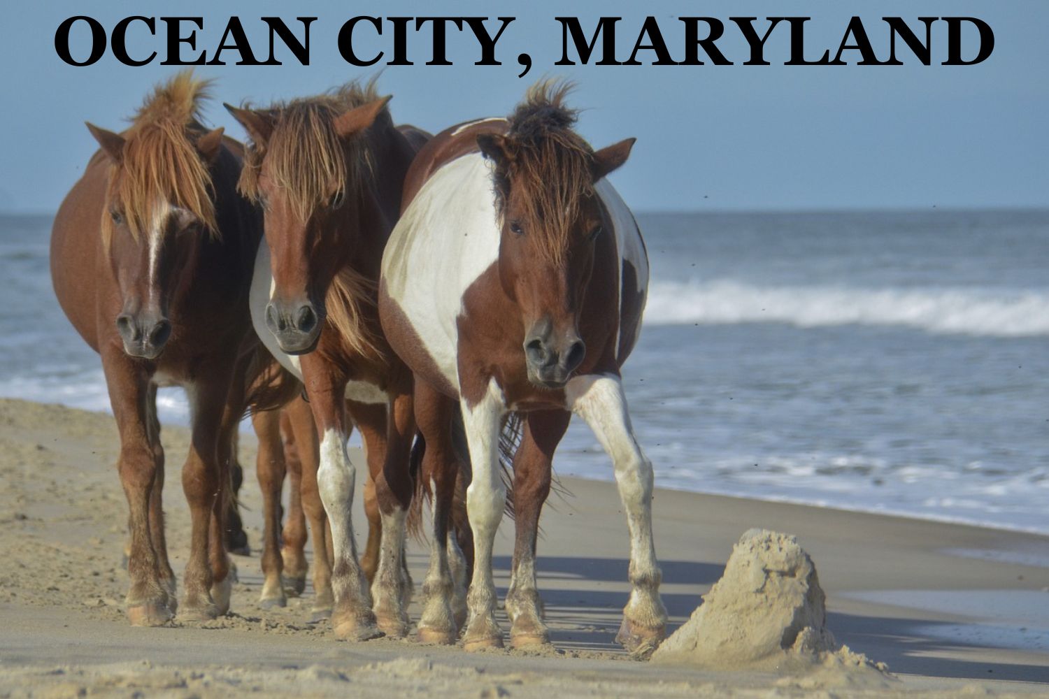 Ocean City, Maryland - May 21 - 24, 2024